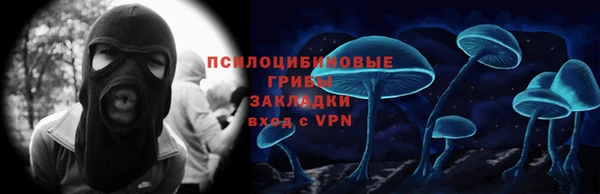 мдпв Абаза