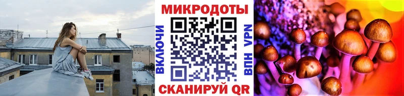 Галлюциногенные грибы Psilocybine cubensis kraken как зайти Кандалакша