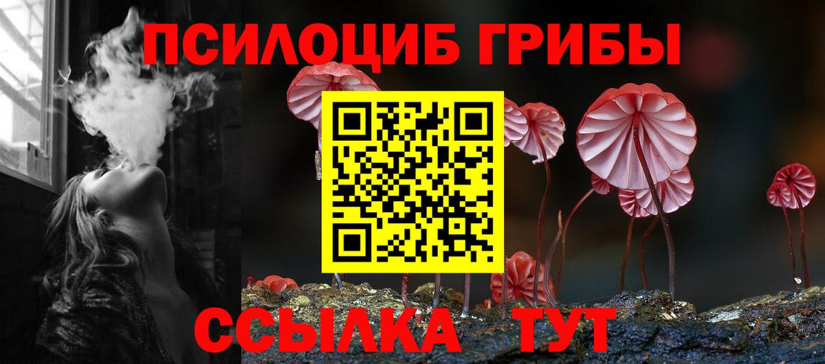 Псилоцибиновые грибы Magic Shrooms  Вход с VPN  Кандалакша 