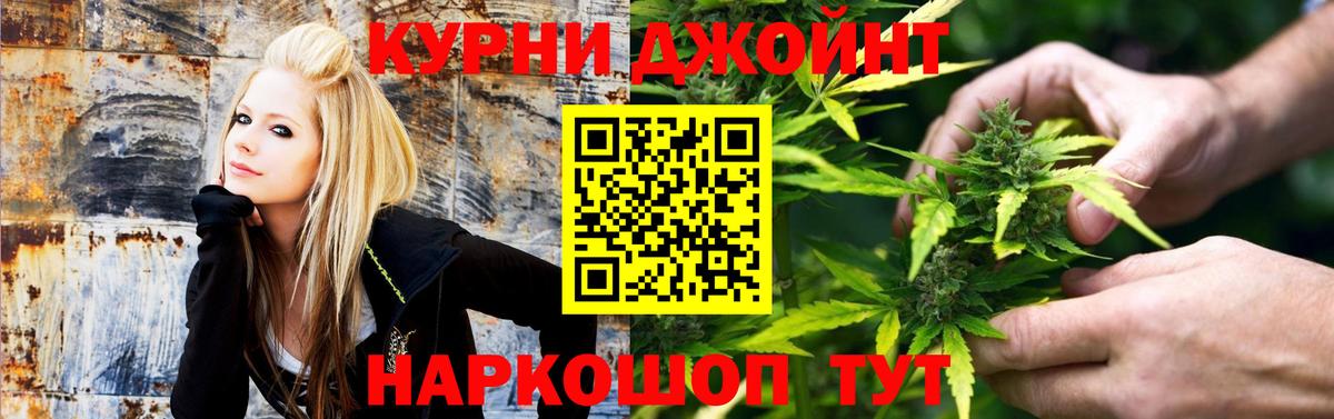 Бошки Шишки сатива Кандалакша